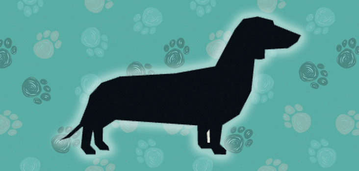 Identify The Dog Breed By Its Silhouette Quiz My Neobux Portal