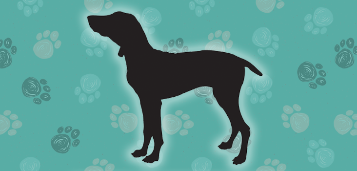 Featured image of post Dog Breed Silhouette Quiz Answers The ears will tell you everything you need to know