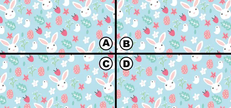 Spot The Fluffy Bunny Quiz Answers