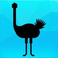 Find the Correct Silhouette Quiz Answers - My Neobux Portal