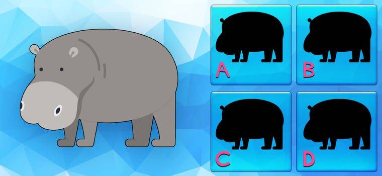 Find The Correct Silhouette Quiz Answers My Neobux Portal