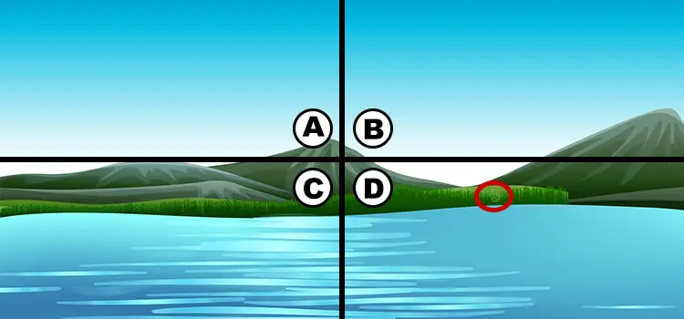 Хамелеон тест ответы. Spot the Chameleon 2021. Spot the Chameleon ответы. Spot the Chameleon ответы 2021. Spot the Chameleon ответы 2022.