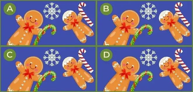 Christmas Picture Puzzle Quiz