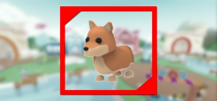 Roblox Adopt Me Pet Quiz - My Neobux Portal