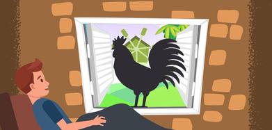 Guess The Silhouette Quiz Answers My Neobux Portal