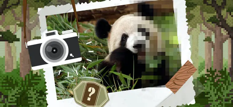 Pixelated Animals Quiz Answers - My Neobux Portal