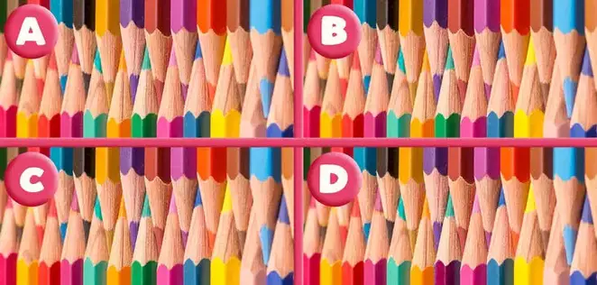 Spot the Difference Quiz Answers