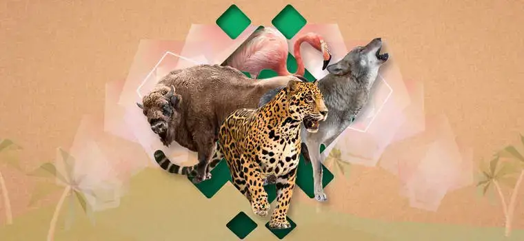 Fun Zoo ChallengeAnswers - My Neobux Portal Fun Zoo ChallengeAnswers - My Neobux Portal