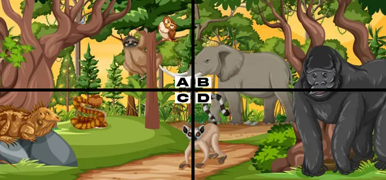 Spot the Pigeon Quiz Answers My Neobux Portal