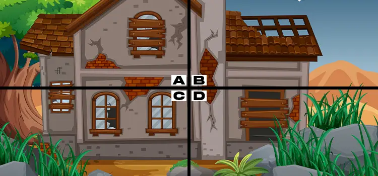 Spot the Pigeon Quiz Answers My Neobux Portal