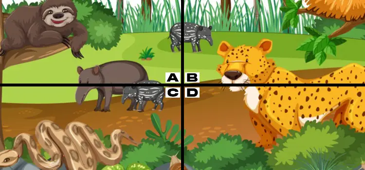 Spot the Pigeon Quiz Answers My Neobux Portal