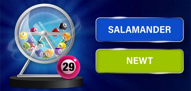 bingo quiz all answers bingo quiz all answers