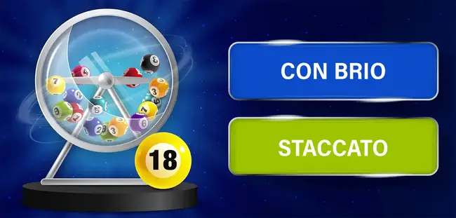 bingo quiz all answers bingo quiz all answers